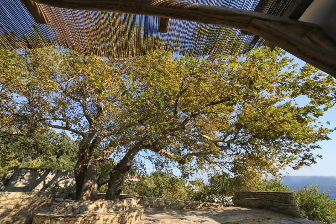 Ικαριων Γη Villa Manganítis Exteriör bild