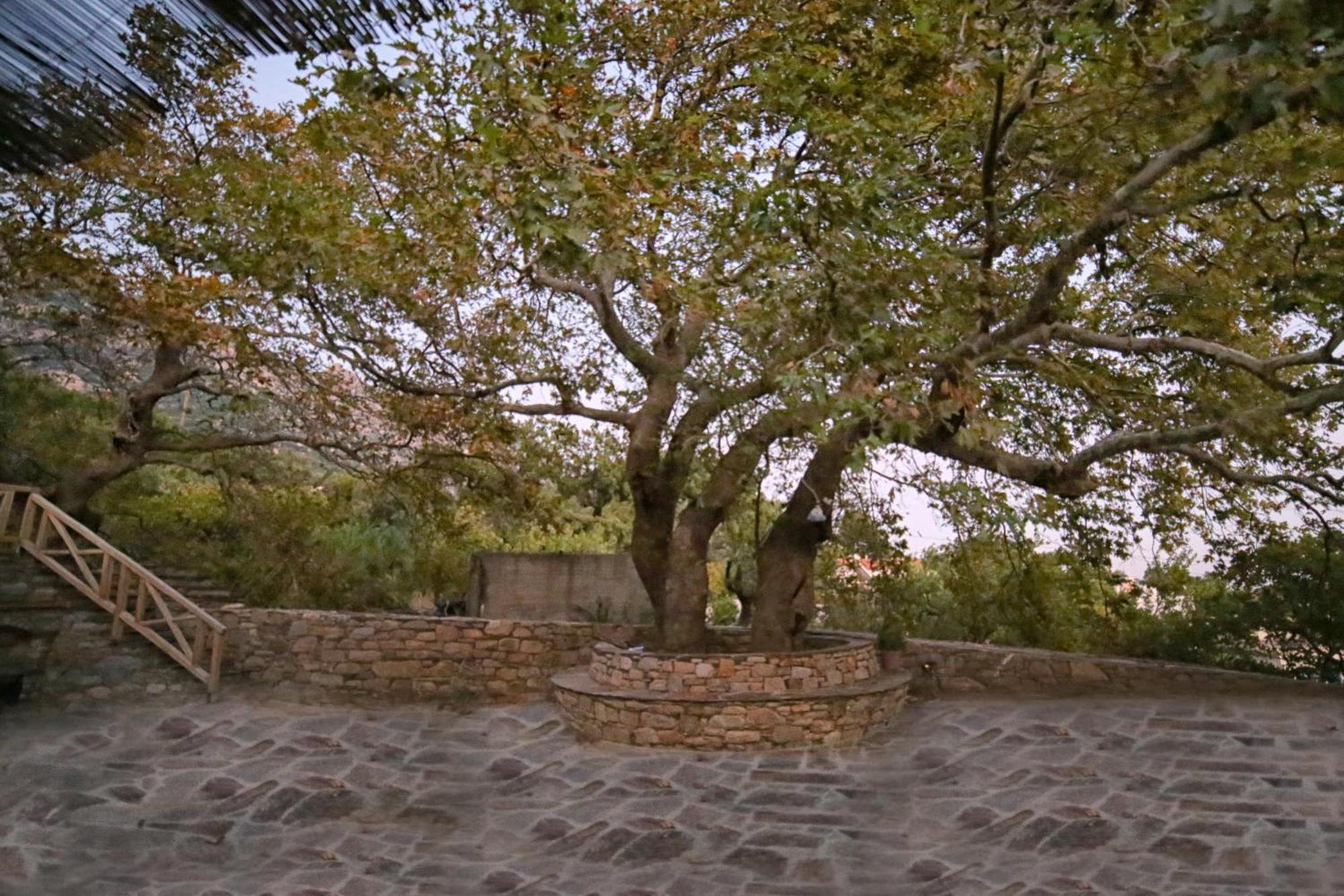 Ικαριων Γη Villa Manganítis Exteriör bild