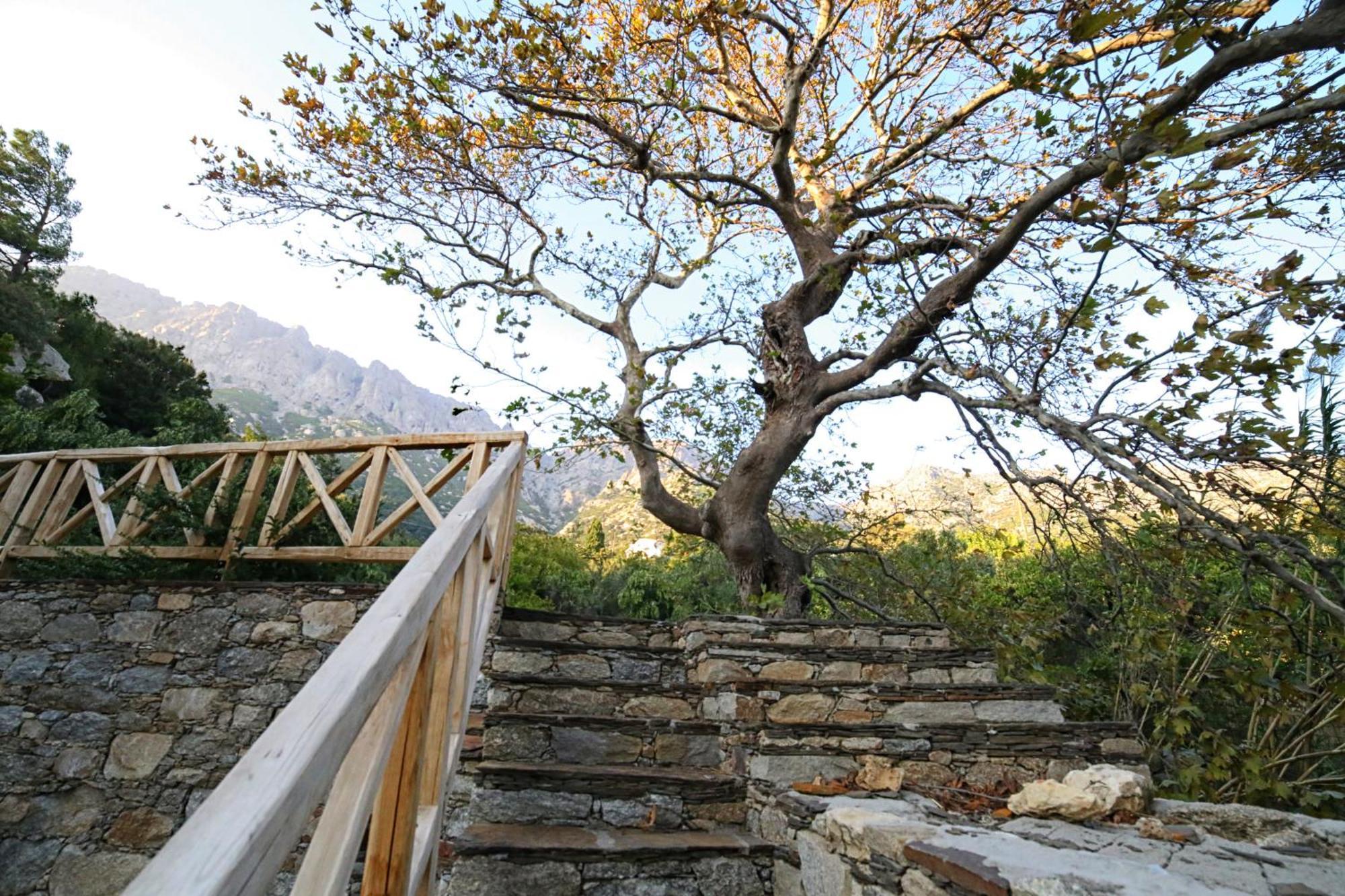 Ικαριων Γη Villa Manganítis Exteriör bild